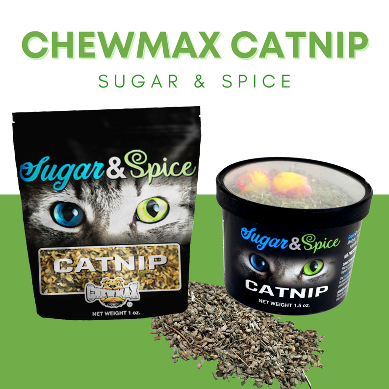 Catnip Bag - 1 oz - Treats