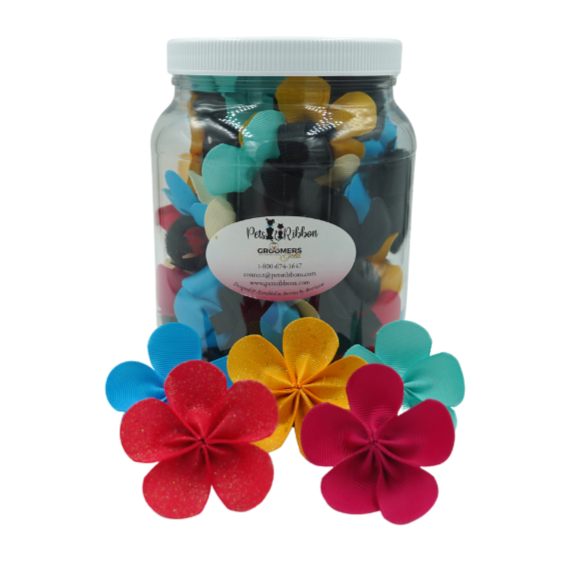 Large flower velcro pet bows in a clear jar, assorted red blue teal and yellow