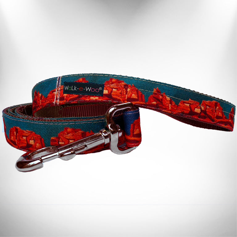Dog leash with teal webbing and red pattern, chrome clips and D-ring