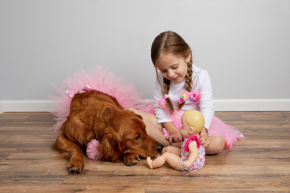 Light pink tulle dog tutu skirt on a brown dog, layered fluffy tulle volume.