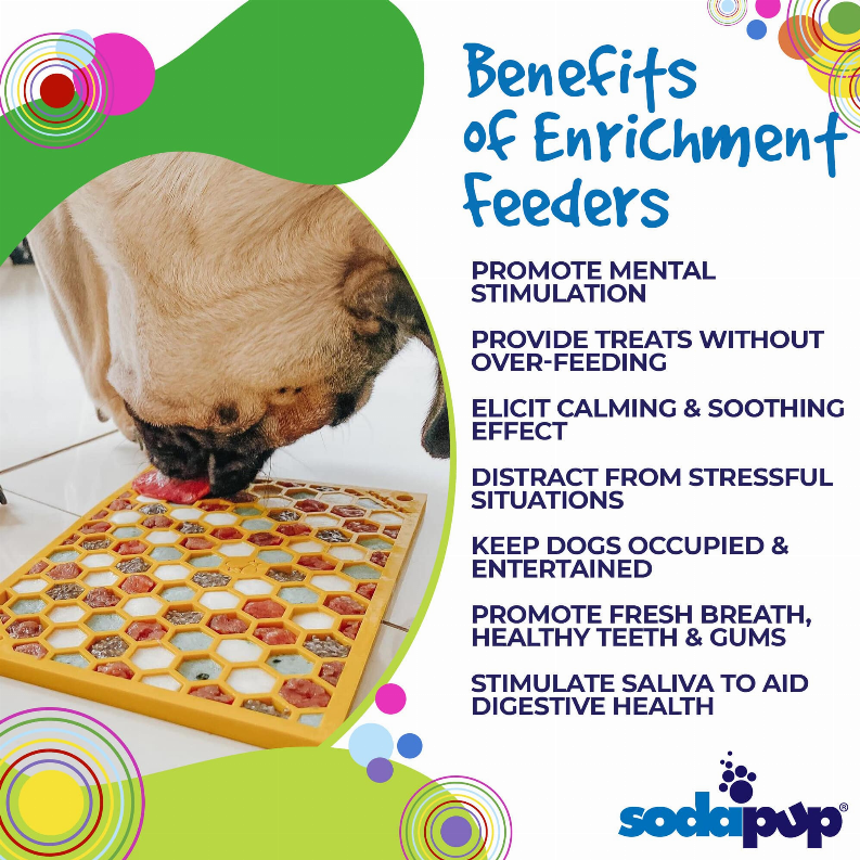 Dog using a yellow honeycomb lick feeder mat for enrichment