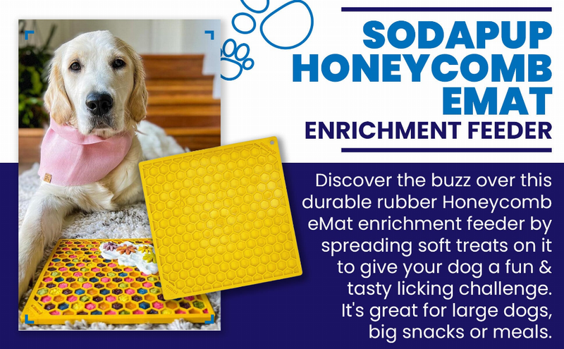 Dog with a yellow honeycomb emat enrichment feeder mat for treat spreading