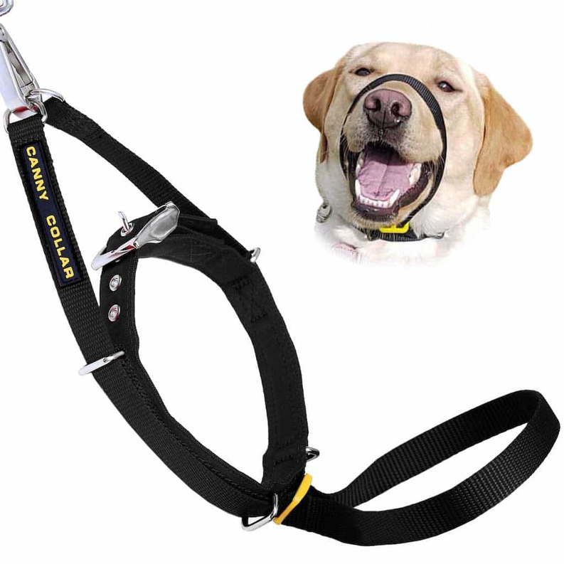 Canny Collar - Pet Supplies