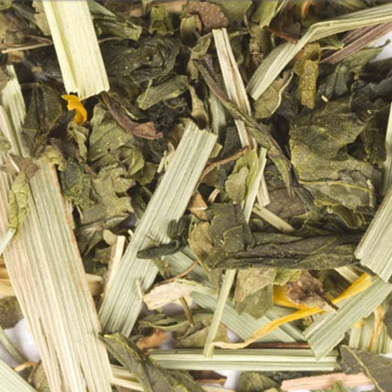 Citrus Mint Green Cold Brew Iced Tea - 1 / 6 Bags - Food & Drink
