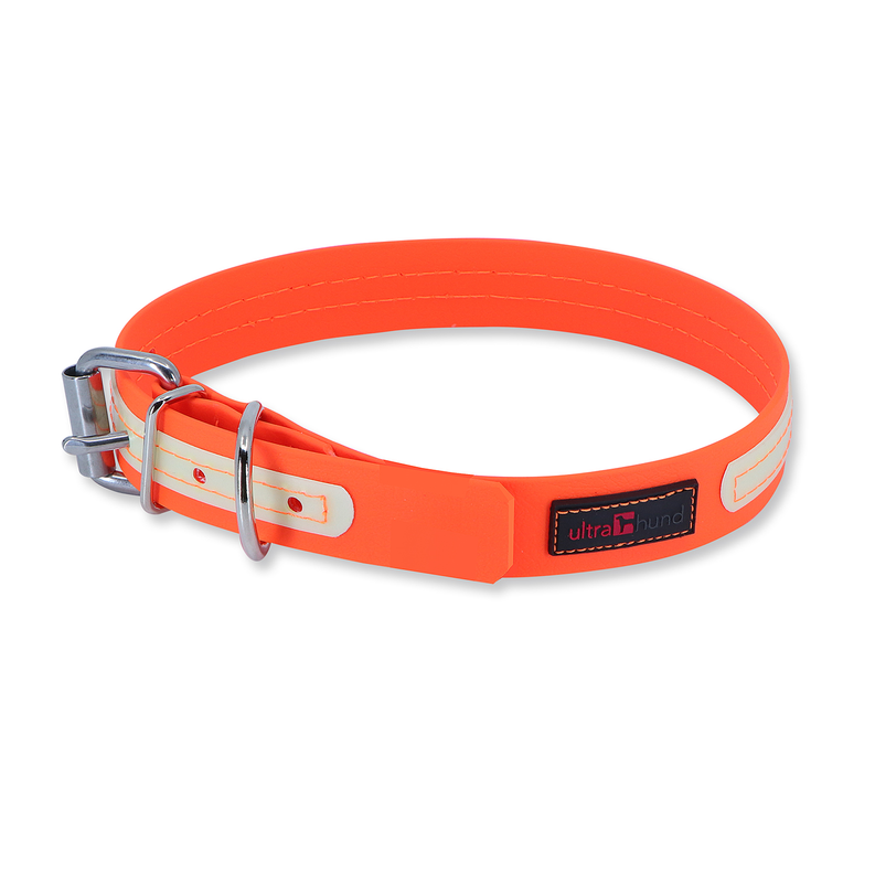 Orange dog collar with metal buckle and fixed strap holes
