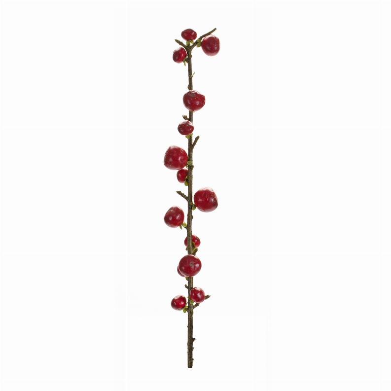 Tall twig stem with scattered red berries, plastic decorative spray