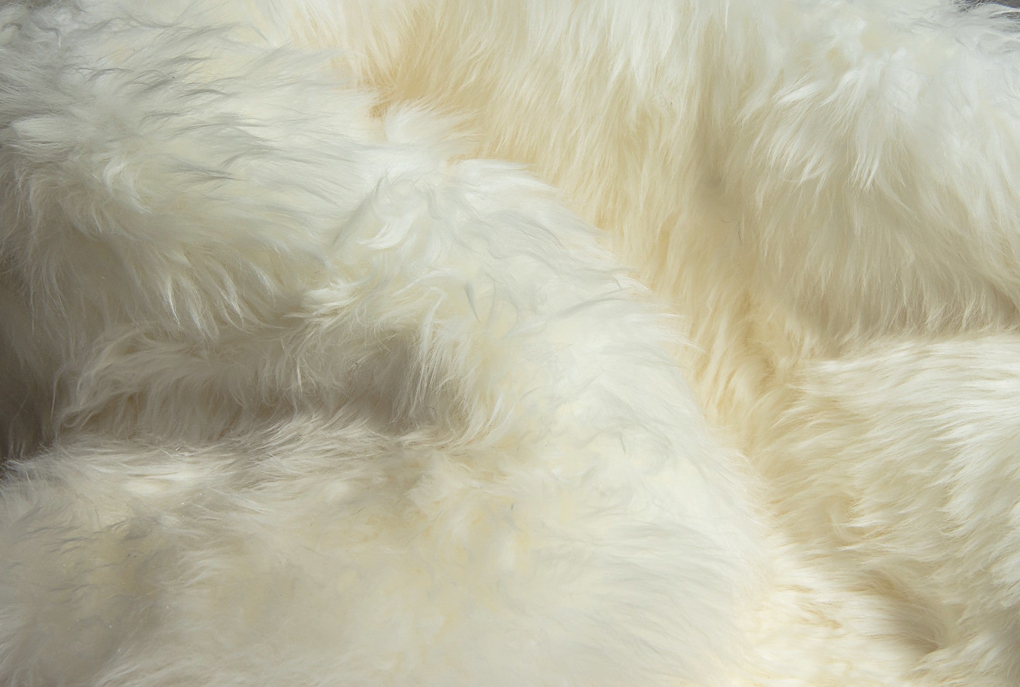 6' X 8' Natural New Zealand Sheepskin Area Rug - GreatEagleInc