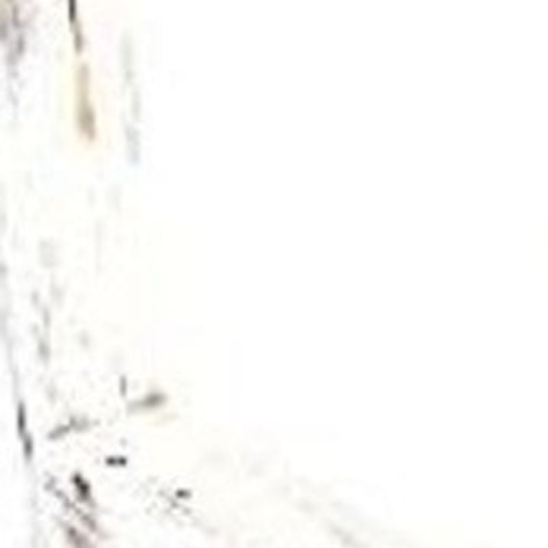 4 Step Rustic White Wood Ladder Shelf - Home Decor
