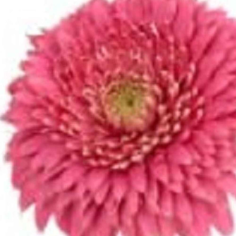 Modern Clear 8 Block Optical Crystal Vase