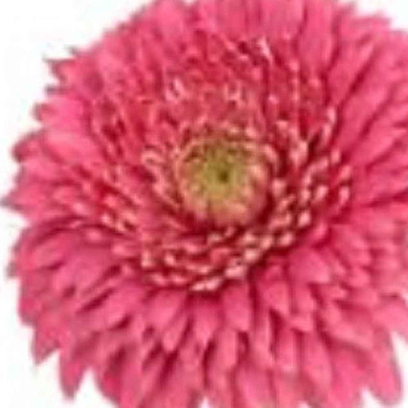 Modern Clear 8 Block Optical Crystal Vase