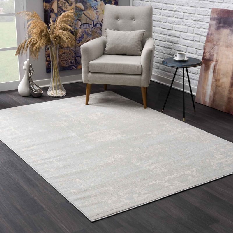 4’ X 6’ Modern Gray Distressed Area Rug