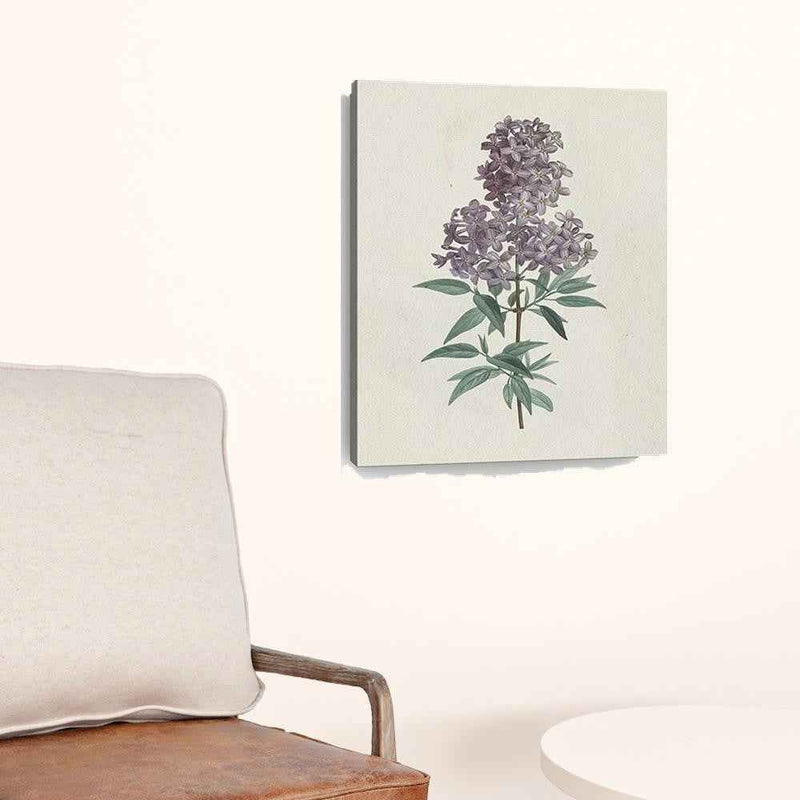 Singular Purple Blossom Branch Unframed Print Wall Art