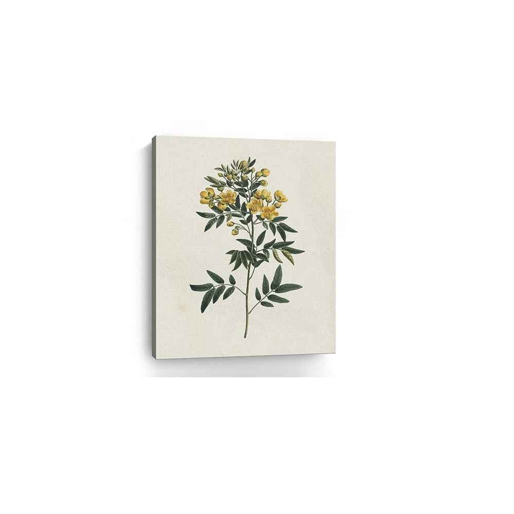Singular Yellow Blossom Branch Unframed Print Wall Art