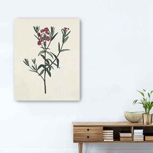 Singular Red Blossom Branch Unframed Print Wall Art