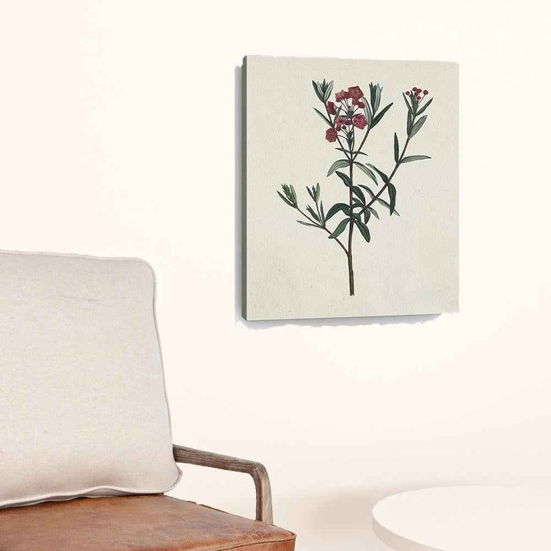 Singular Red Blossom Branch Unframed Print Wall Art