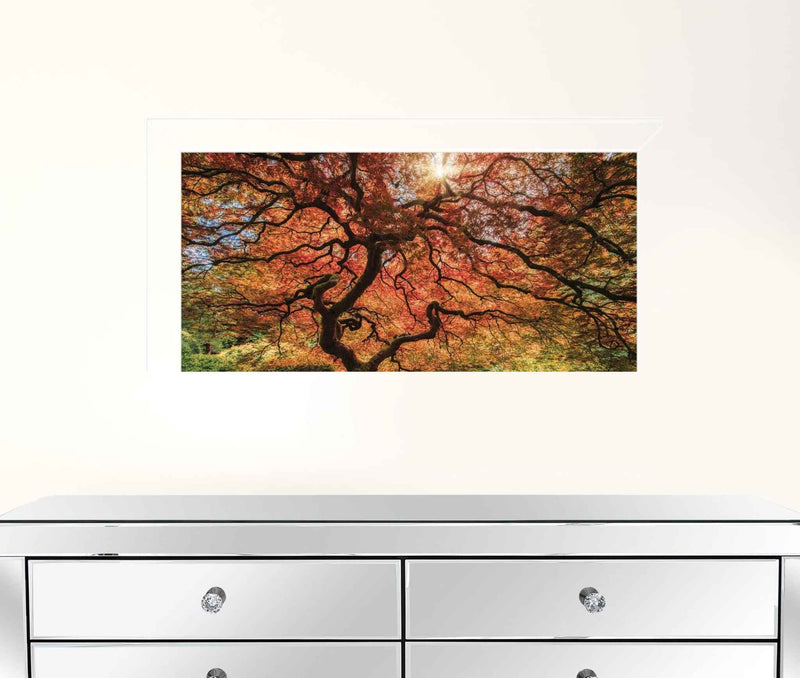 First Colors Of Fall I 1 White Framed Print Wall Art