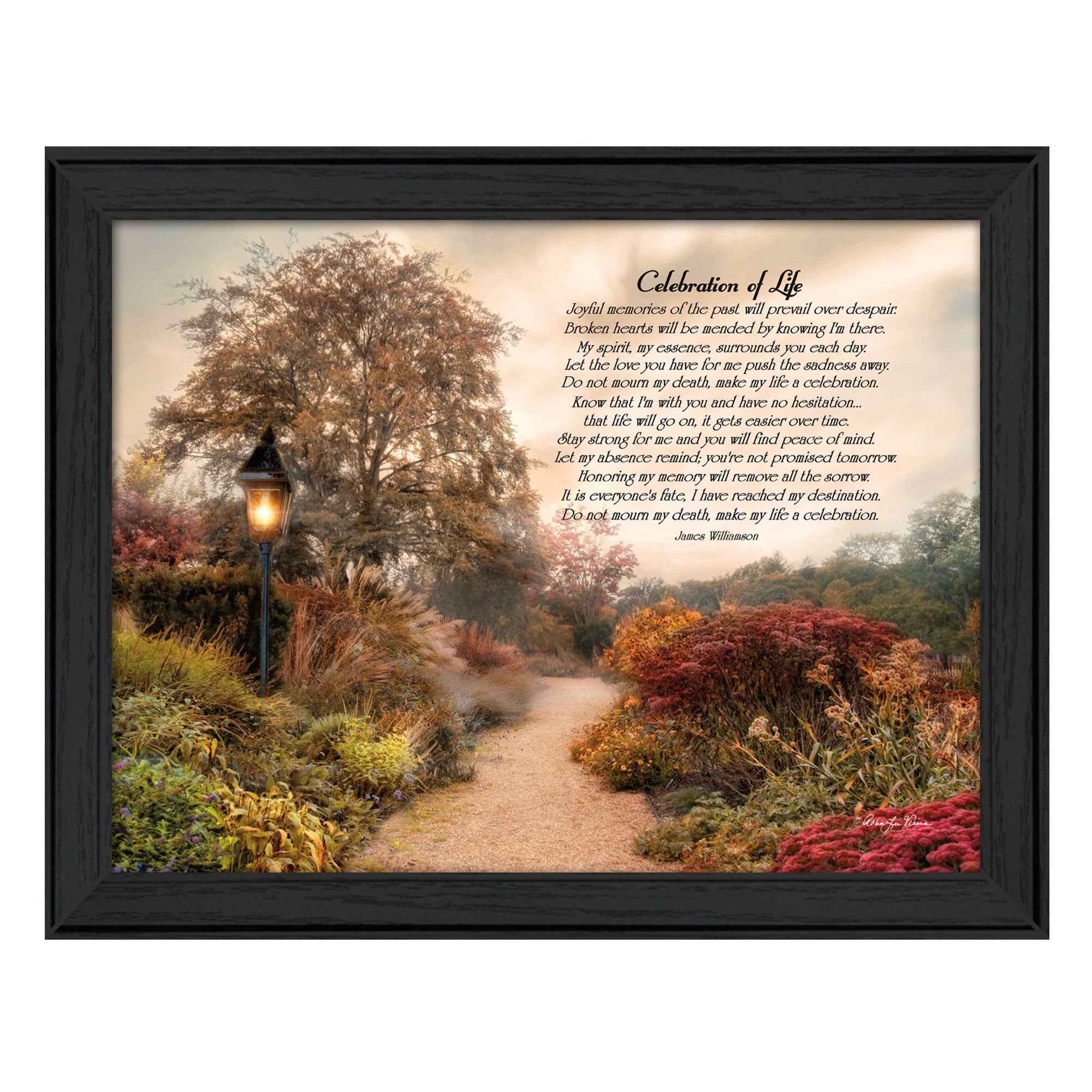 Celebration Of Life Black Framed Print Wall Art