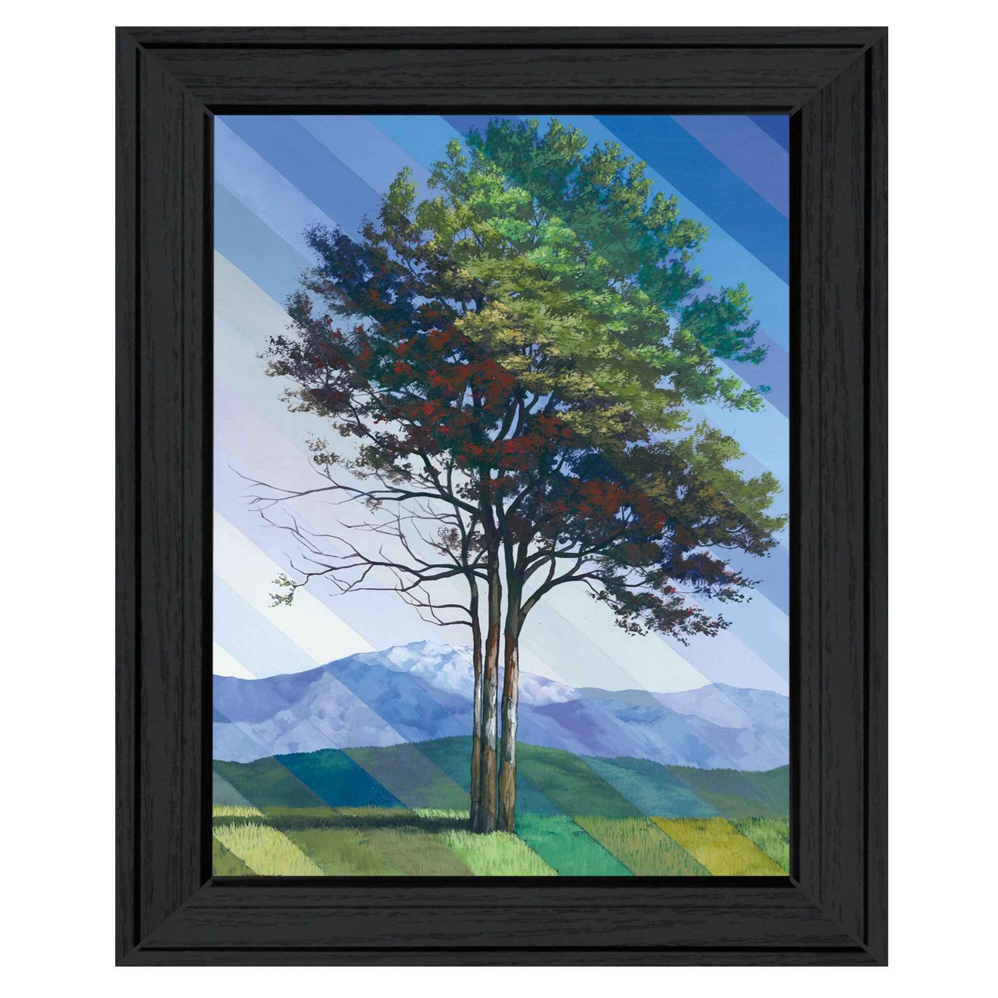 Catching Light As Time Passes 2 Black Framed Print Wall Art