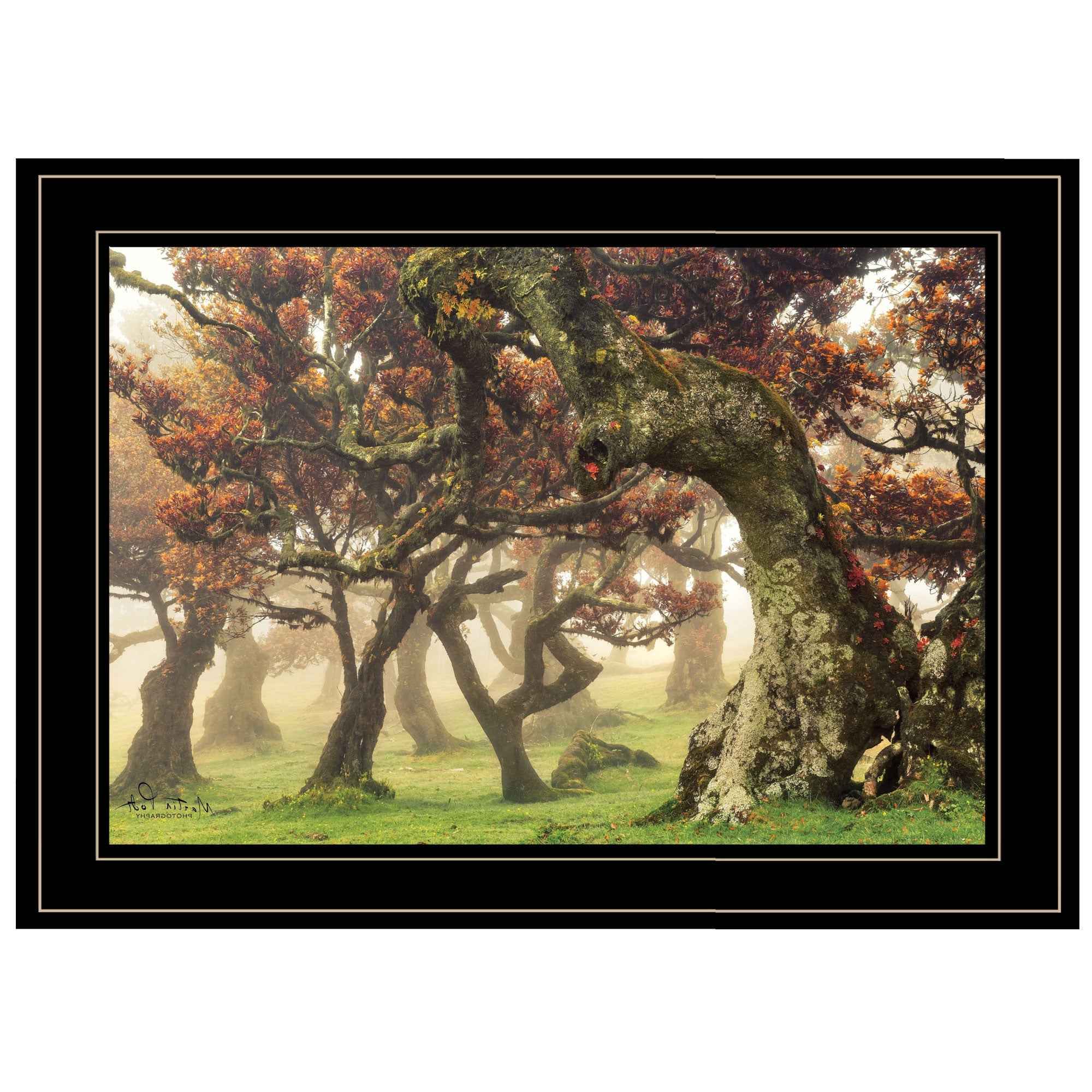 Fanal Martin Podt Ready To Hang Framed Print Black Frame Black Framed Print Wall Art