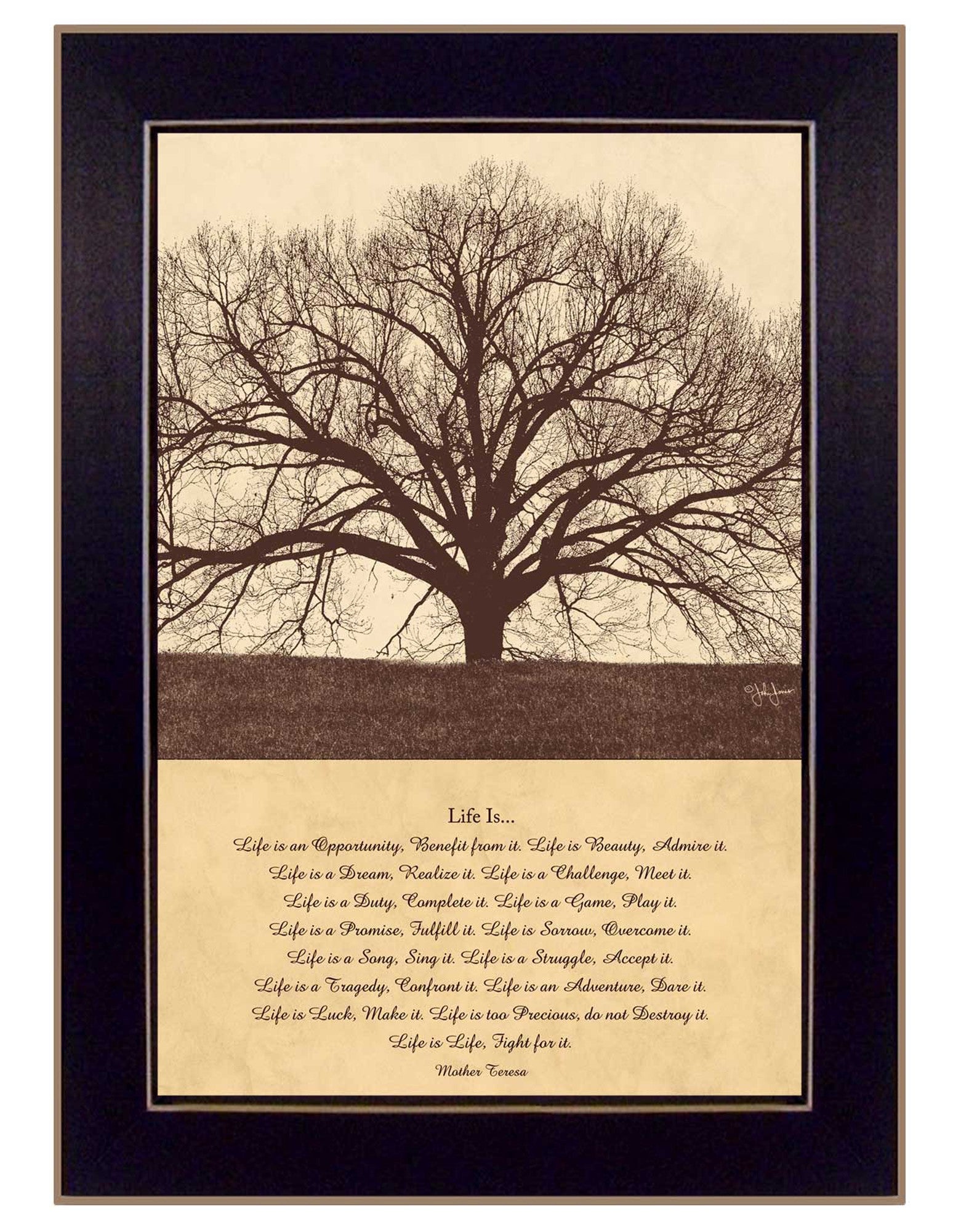 Life Is 1 Black Framed Print Wall Art - Home Decor