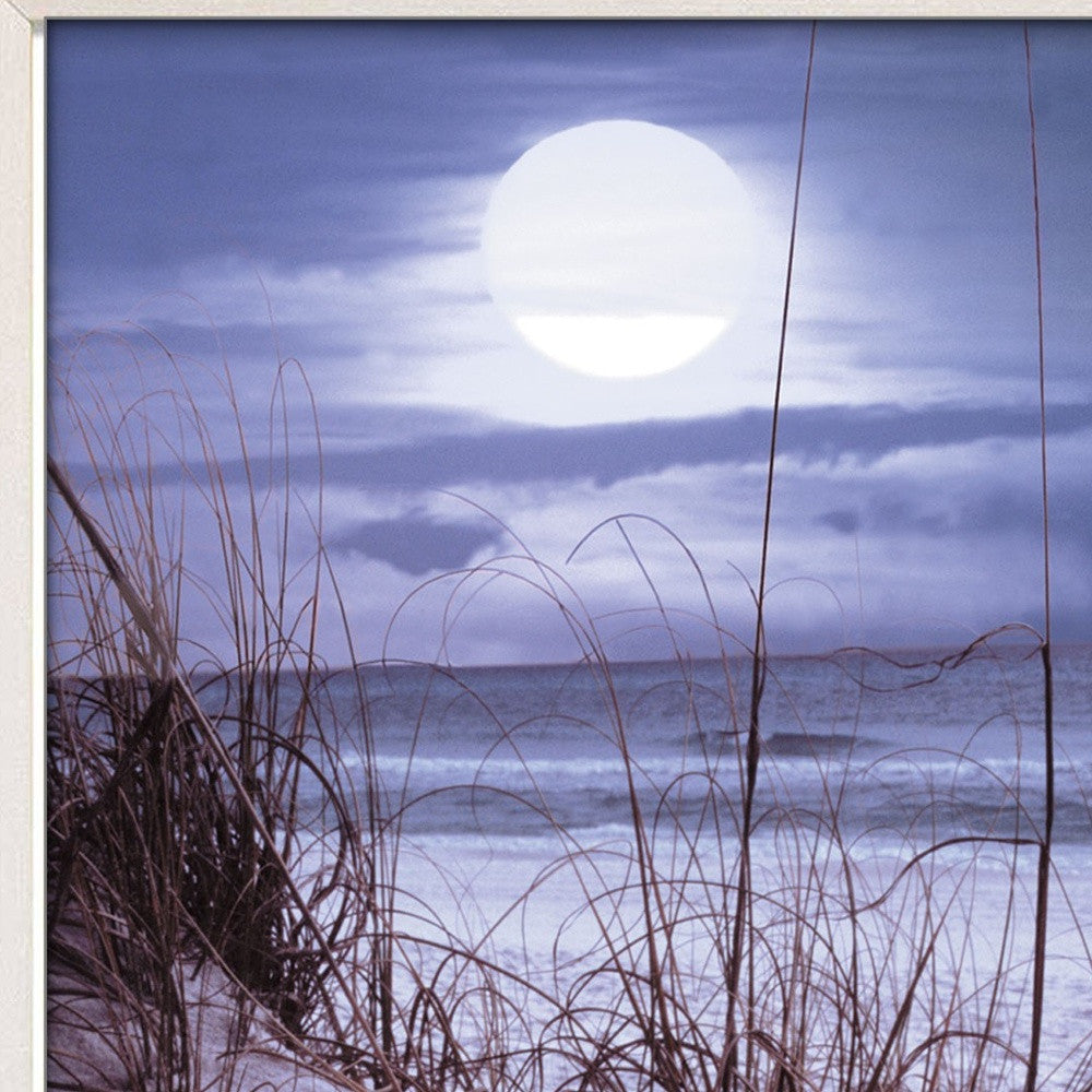 The Seashore White Framed Print Wall Art - Home Decor