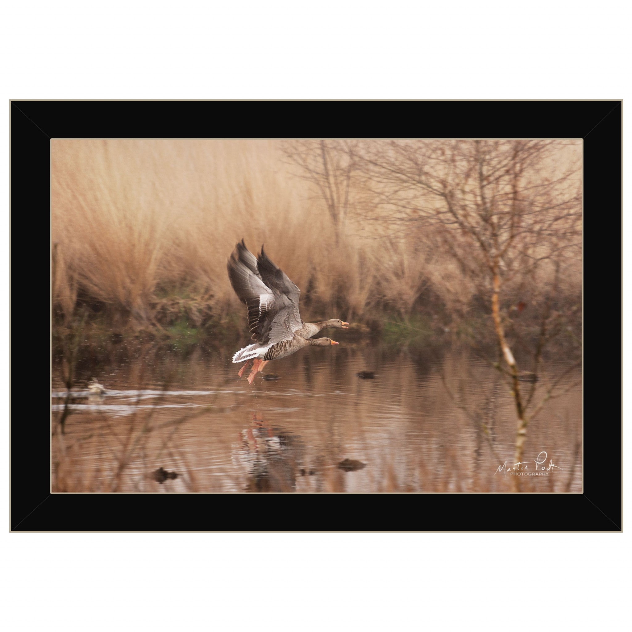 Fly Away 3 Black Framed Print Wall Art - Home Decor