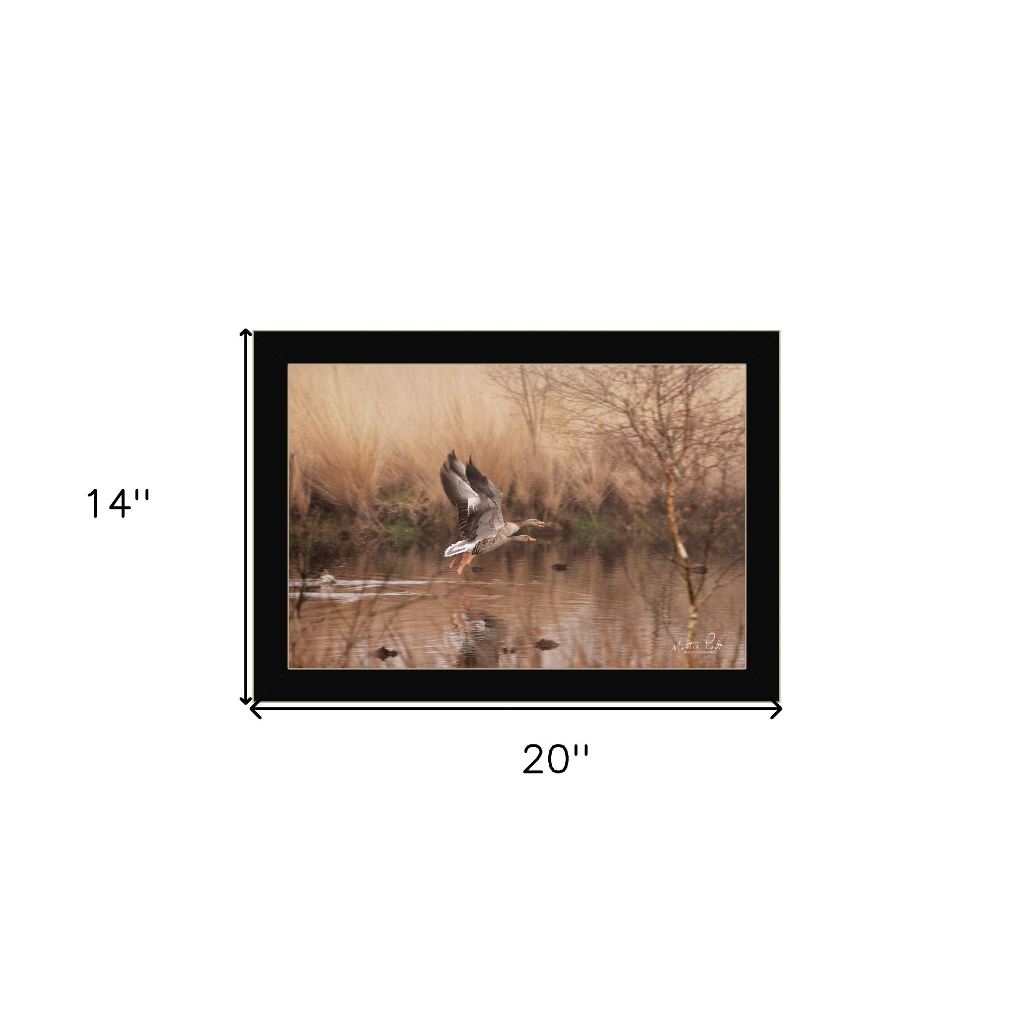 Fly Away 3 Black Framed Print Wall Art - Home Decor