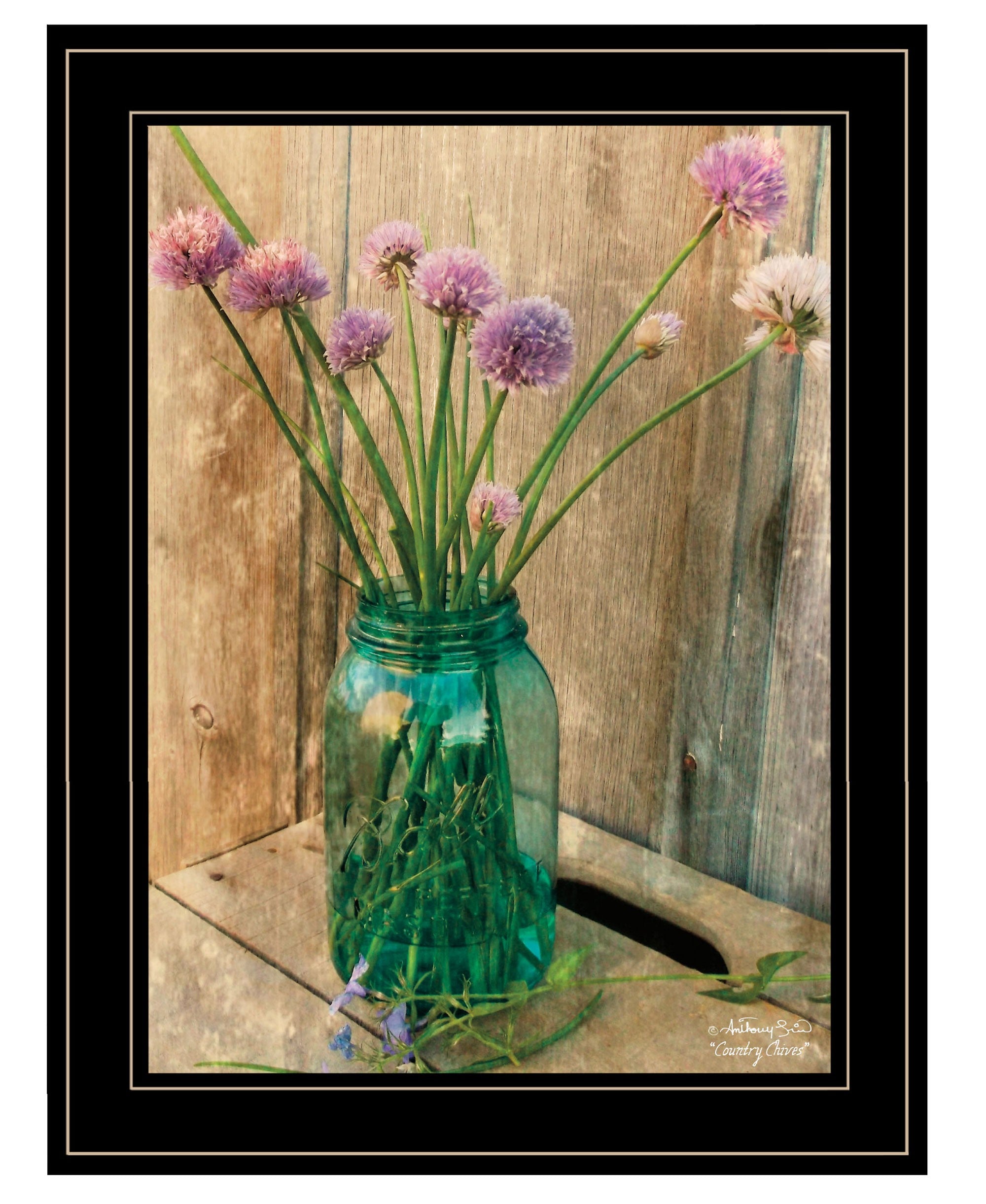 Country Chives 2 Black Framed Print Wall Art - Home Decor