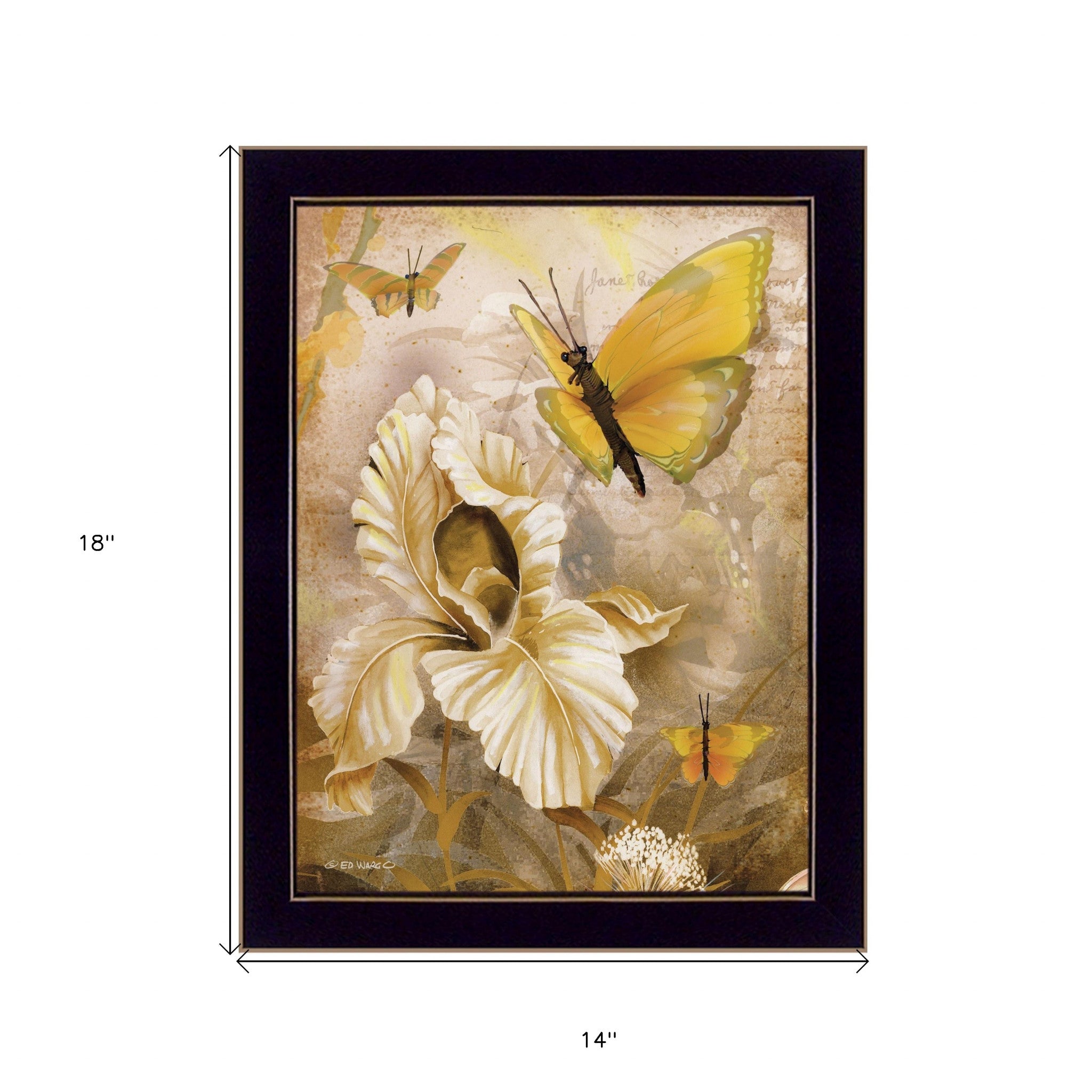 Flowers and Butterflies I 1 Black Framed Print Wall Art - Home Decor
