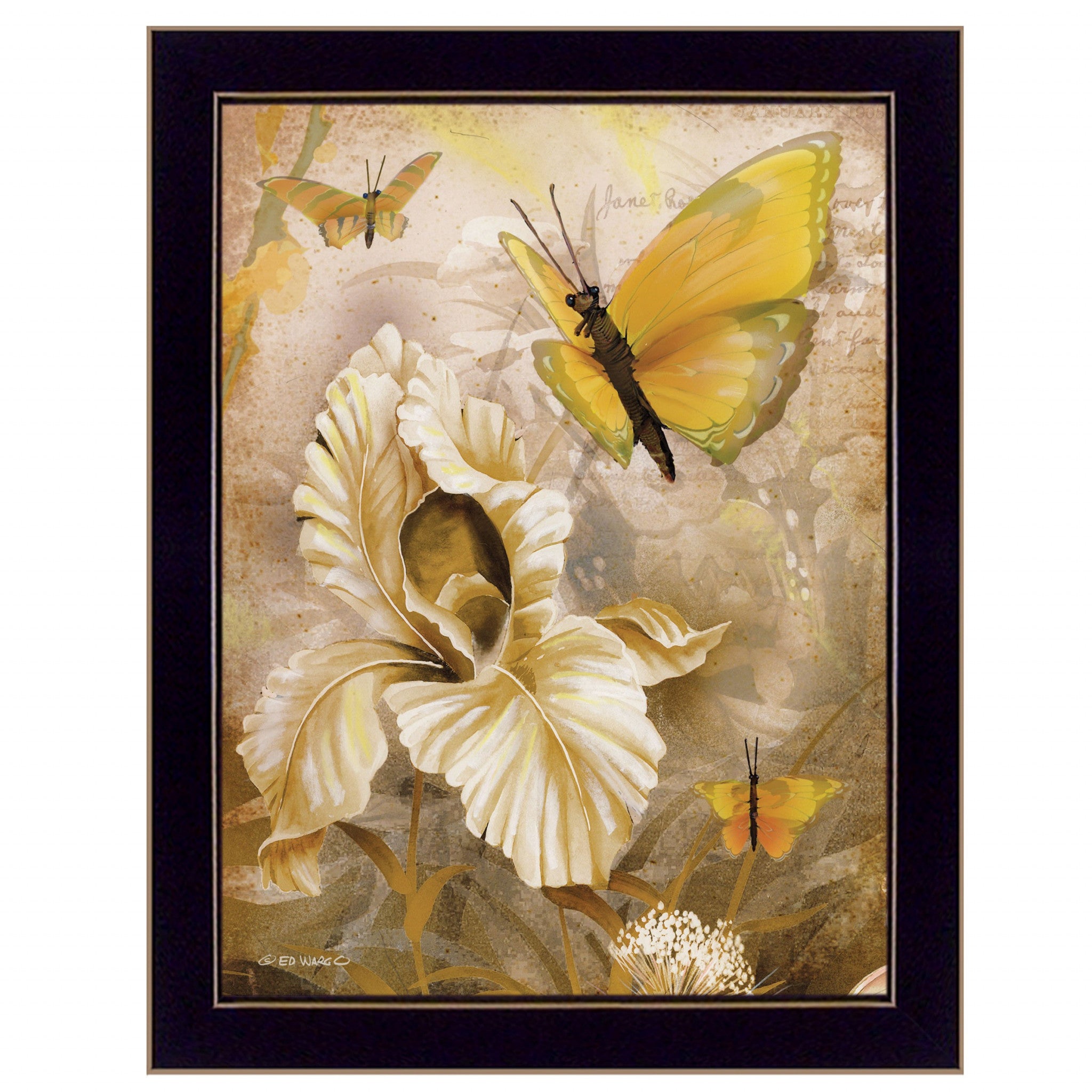 Flowers and Butterflies I 1 Black Framed Print Wall Art - Home Decor