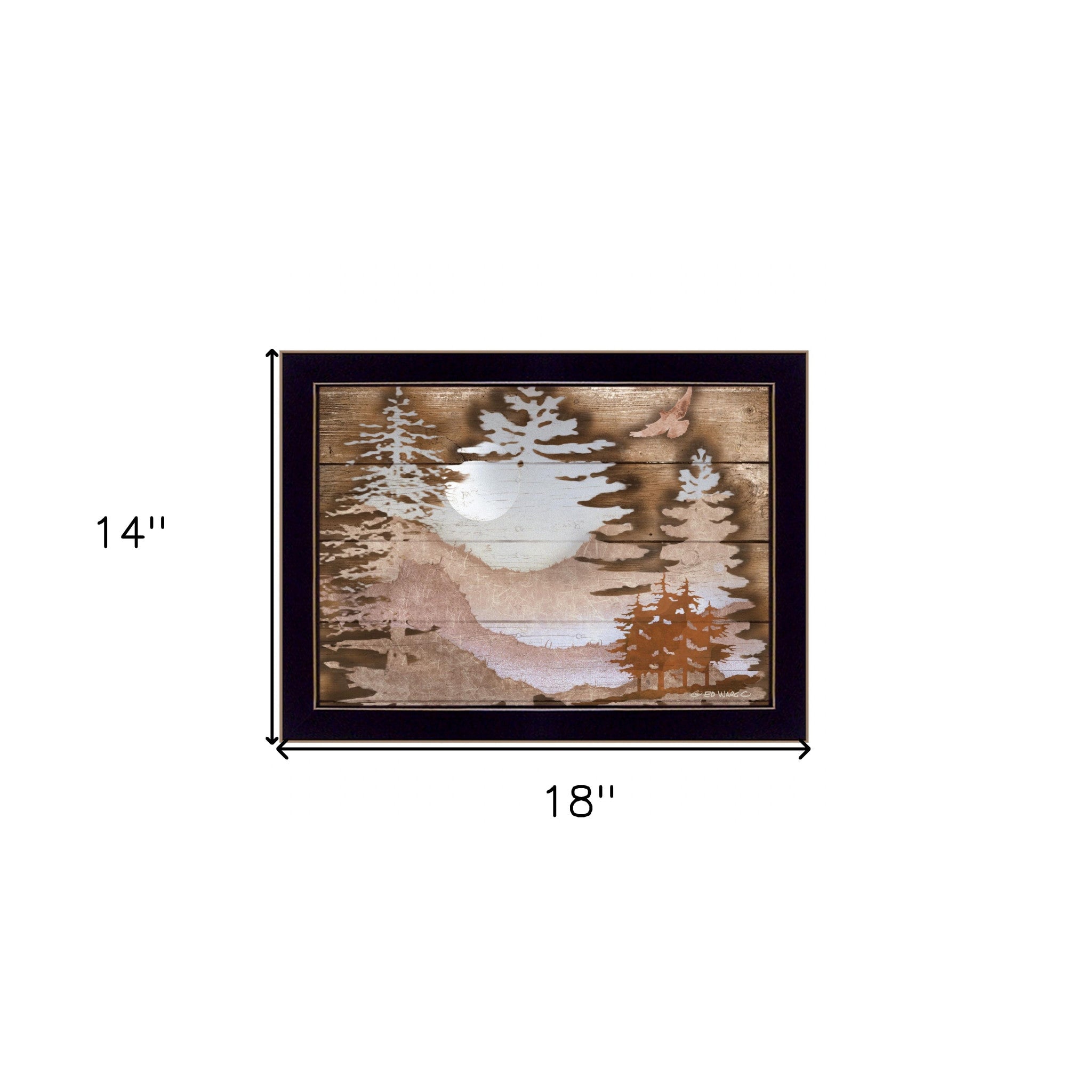 Great Outdoors II 1 Black Framed Print Wall Art - Home Decor