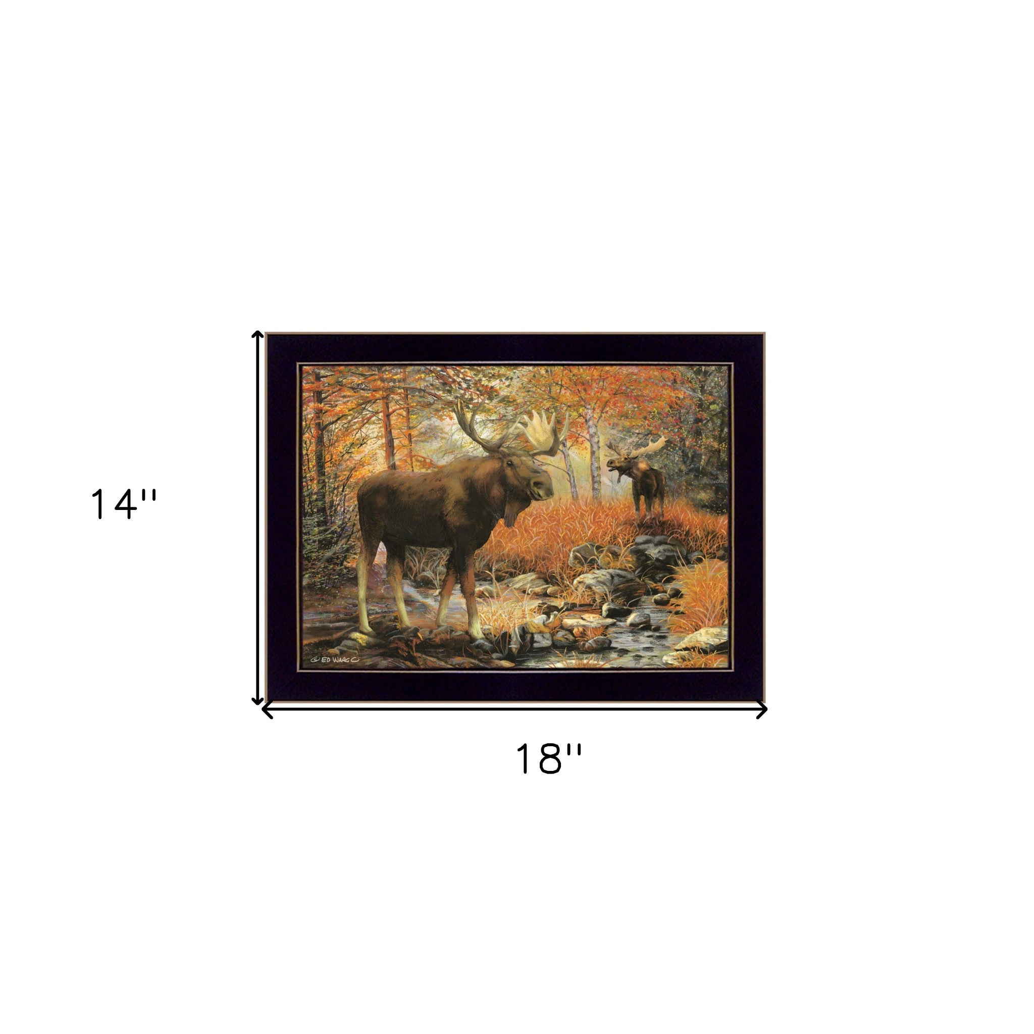 Call of the Wild 1 Black Framed Print Wall Art - Home Decor
