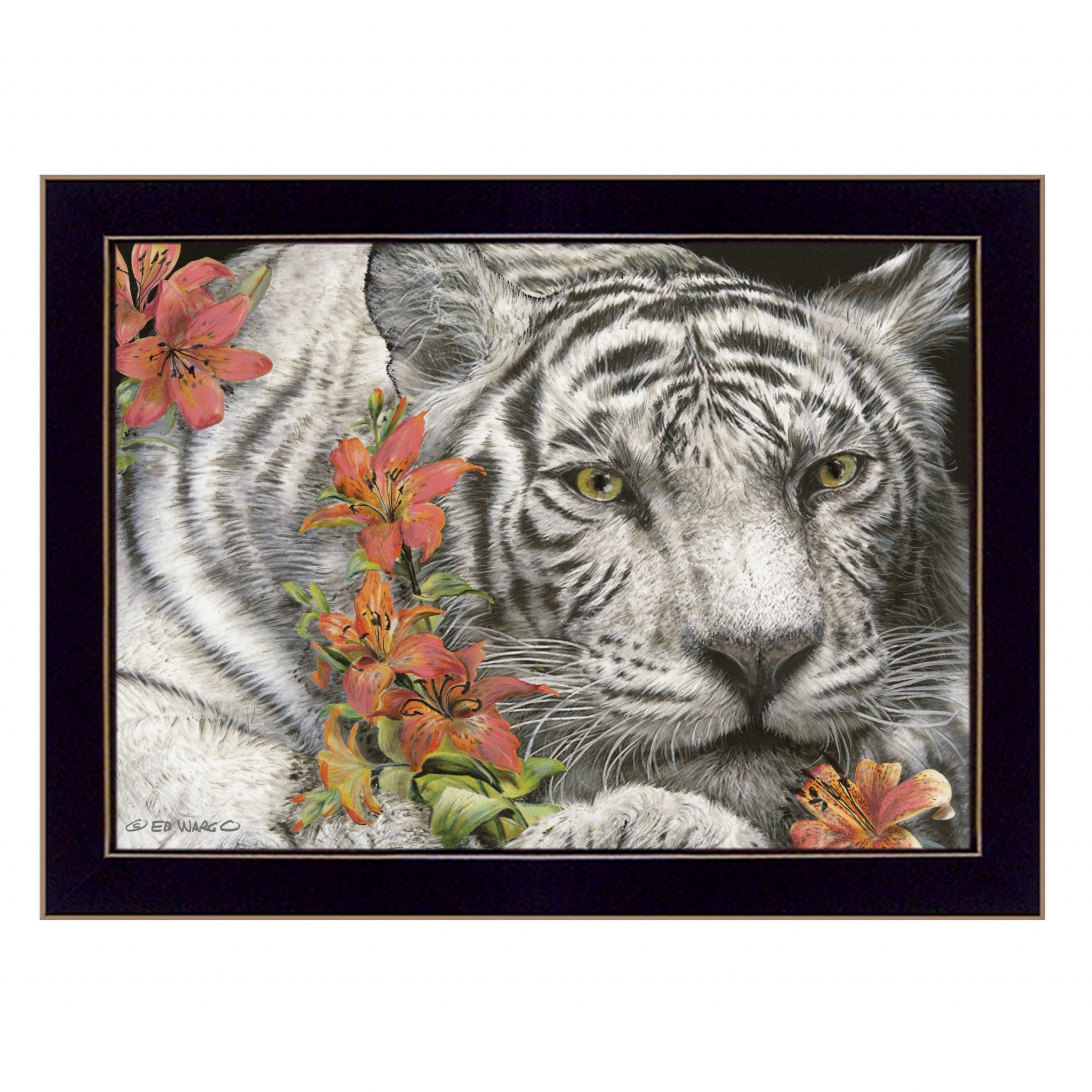 Tiger Lily 1 Black Framed Print Wall Art - Home Decor