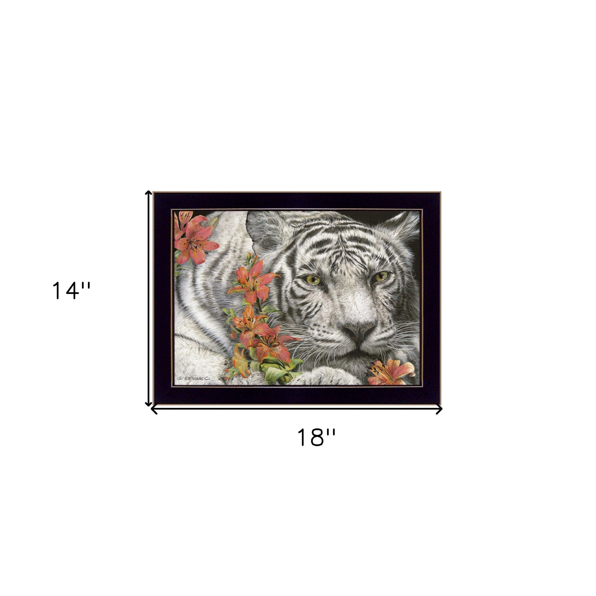 Tiger Lily 1 Black Framed Print Wall Art - Home Decor