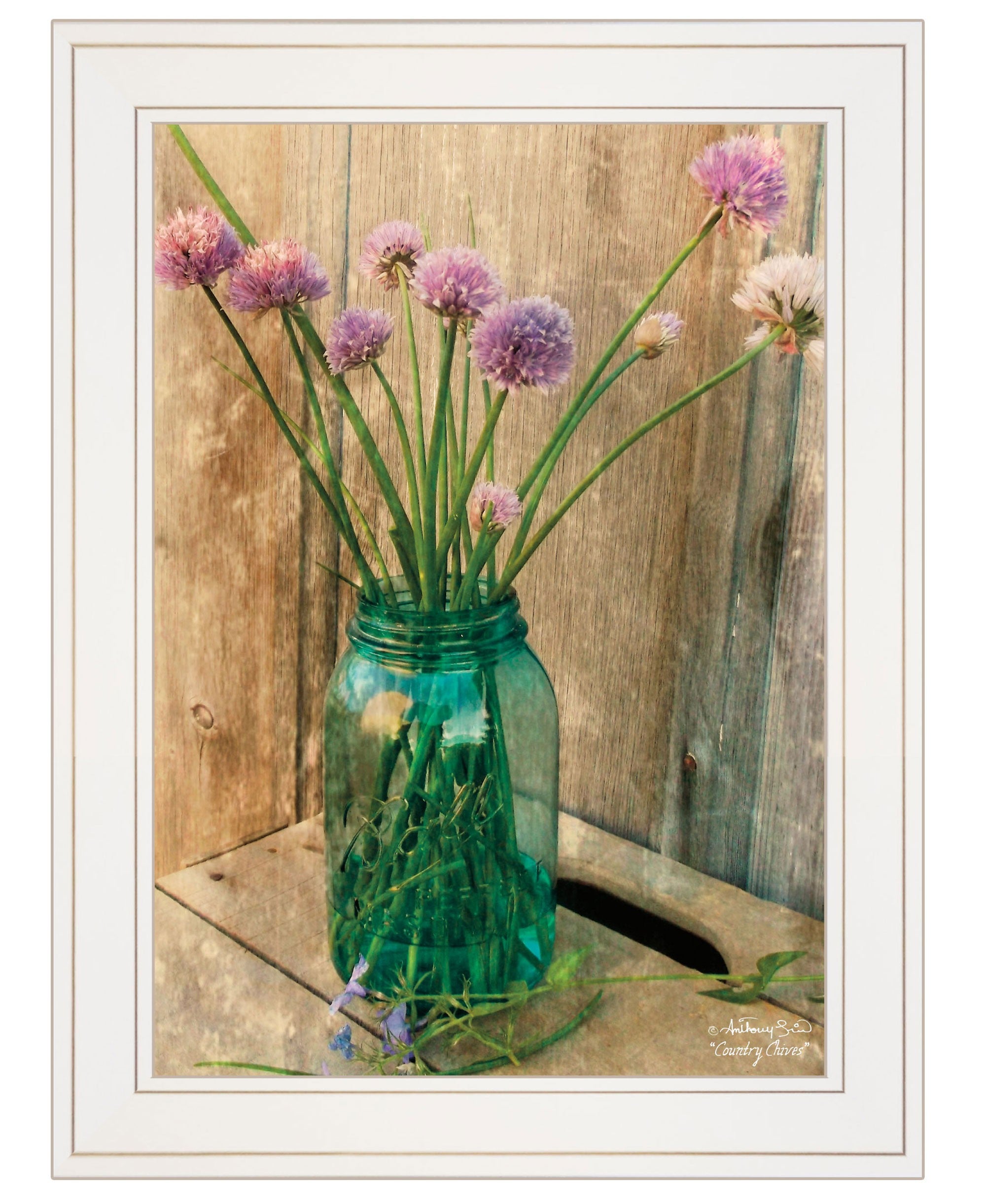 Country Chives 1 White Framed Print Wall Art - Home Decor