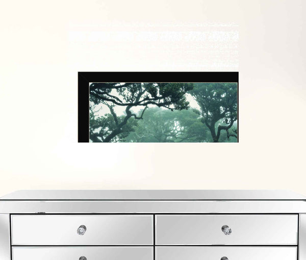 Enchanted Forest II 1 Black Framed Print Wall Art Default Title