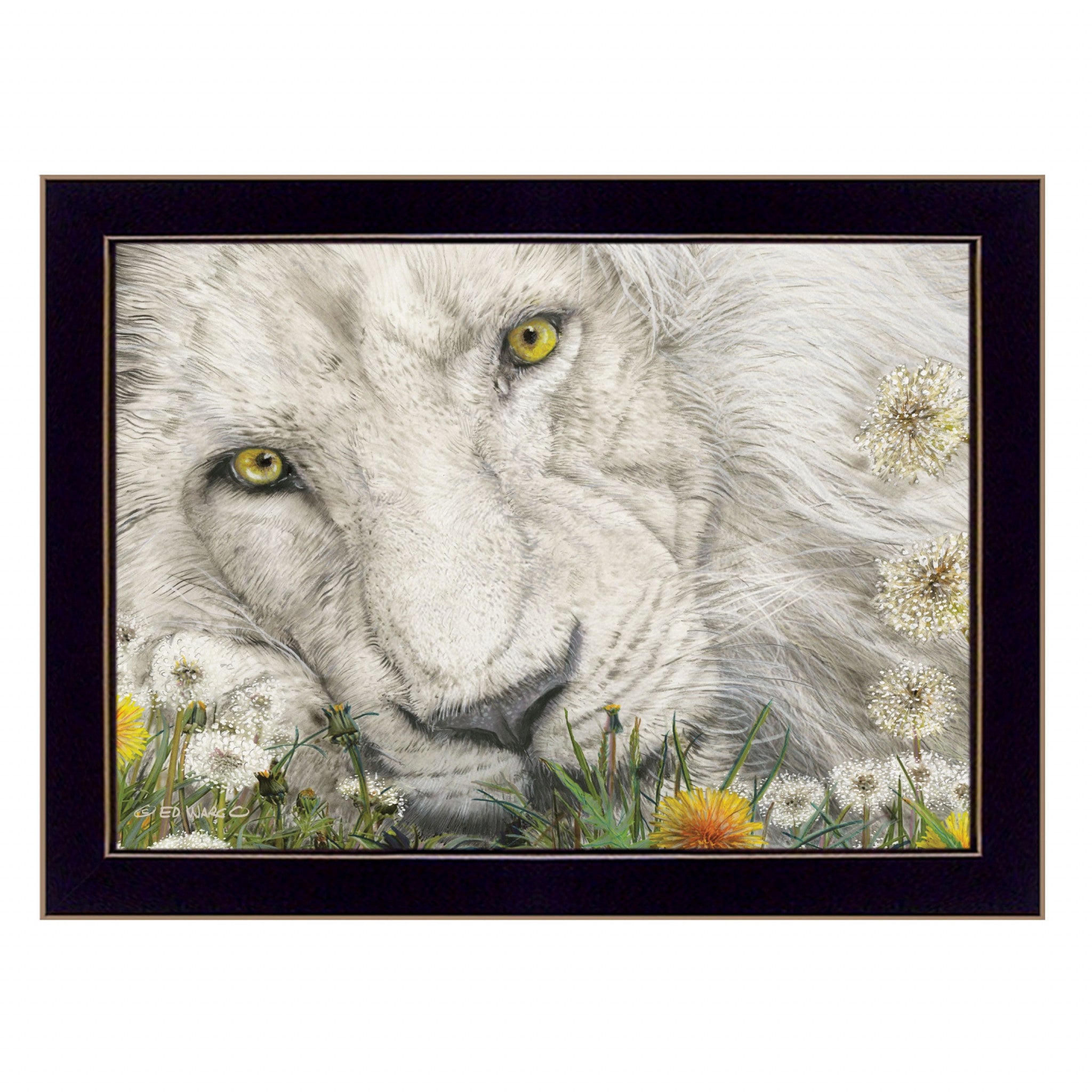 Dandy Lion 1 Black Framed Print Wall Art - Home Decor