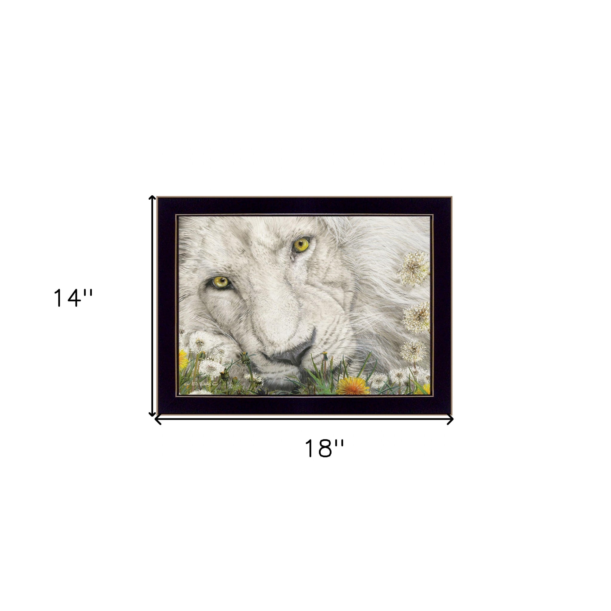 Dandy Lion 1 Black Framed Print Wall Art - Home Decor