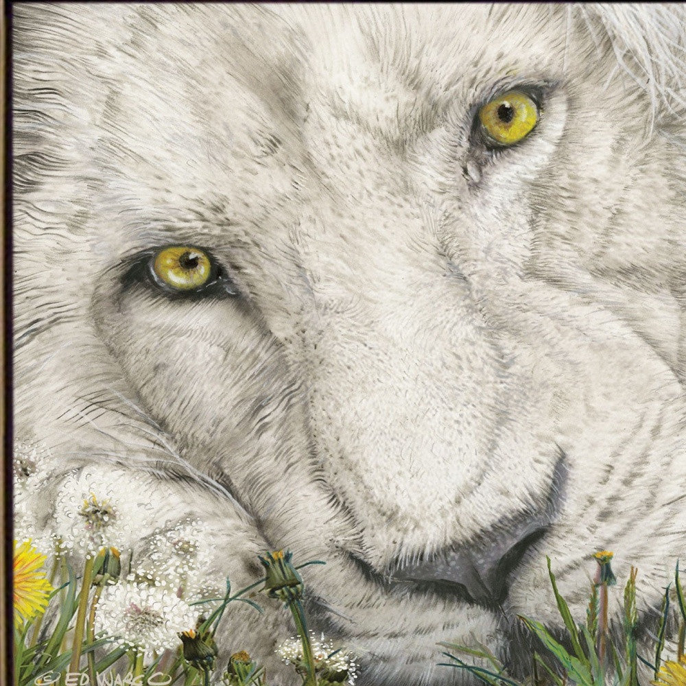 Dandy Lion 1 Black Framed Print Wall Art - Home Decor