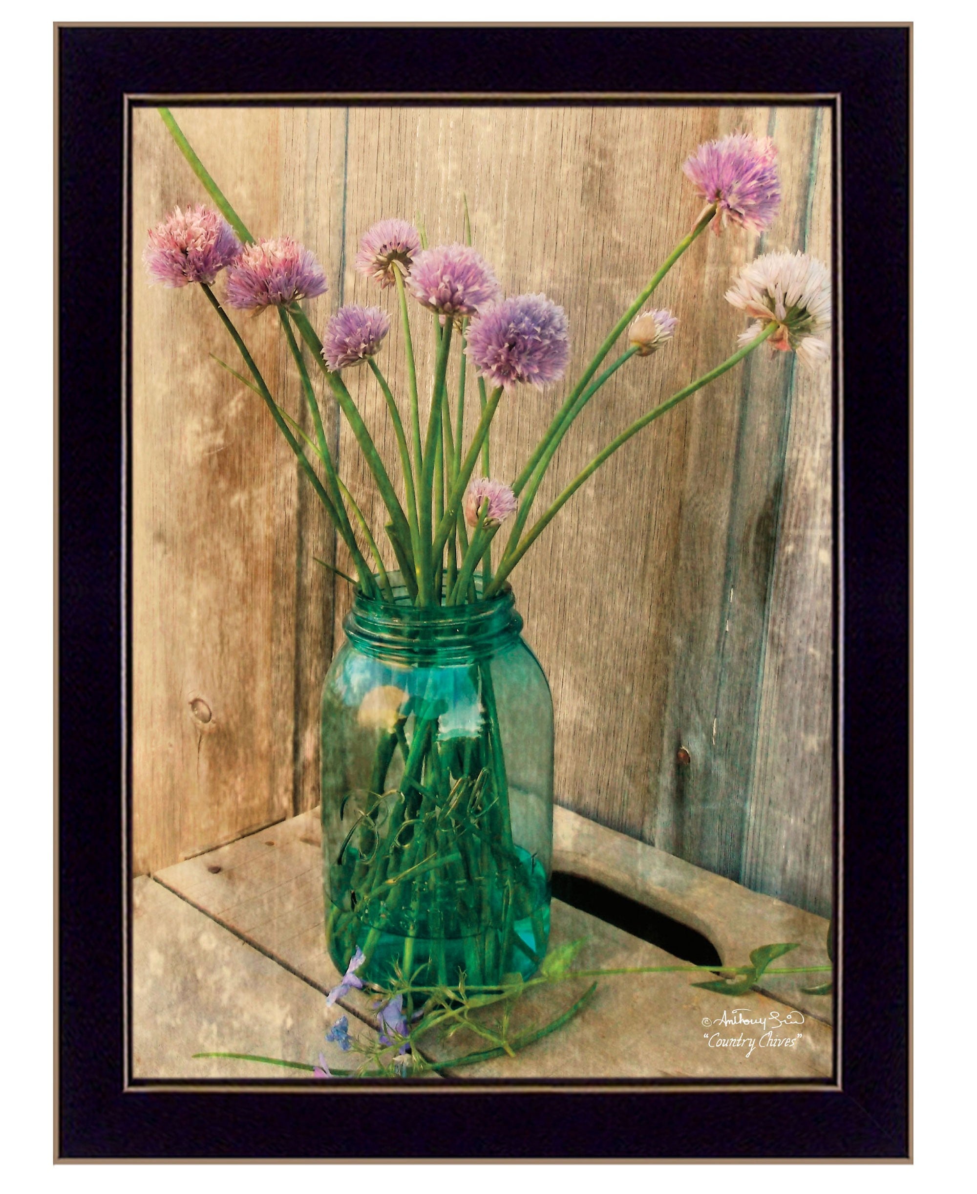 Country Chives 3 Black Framed Print Wall Art - Home Decor