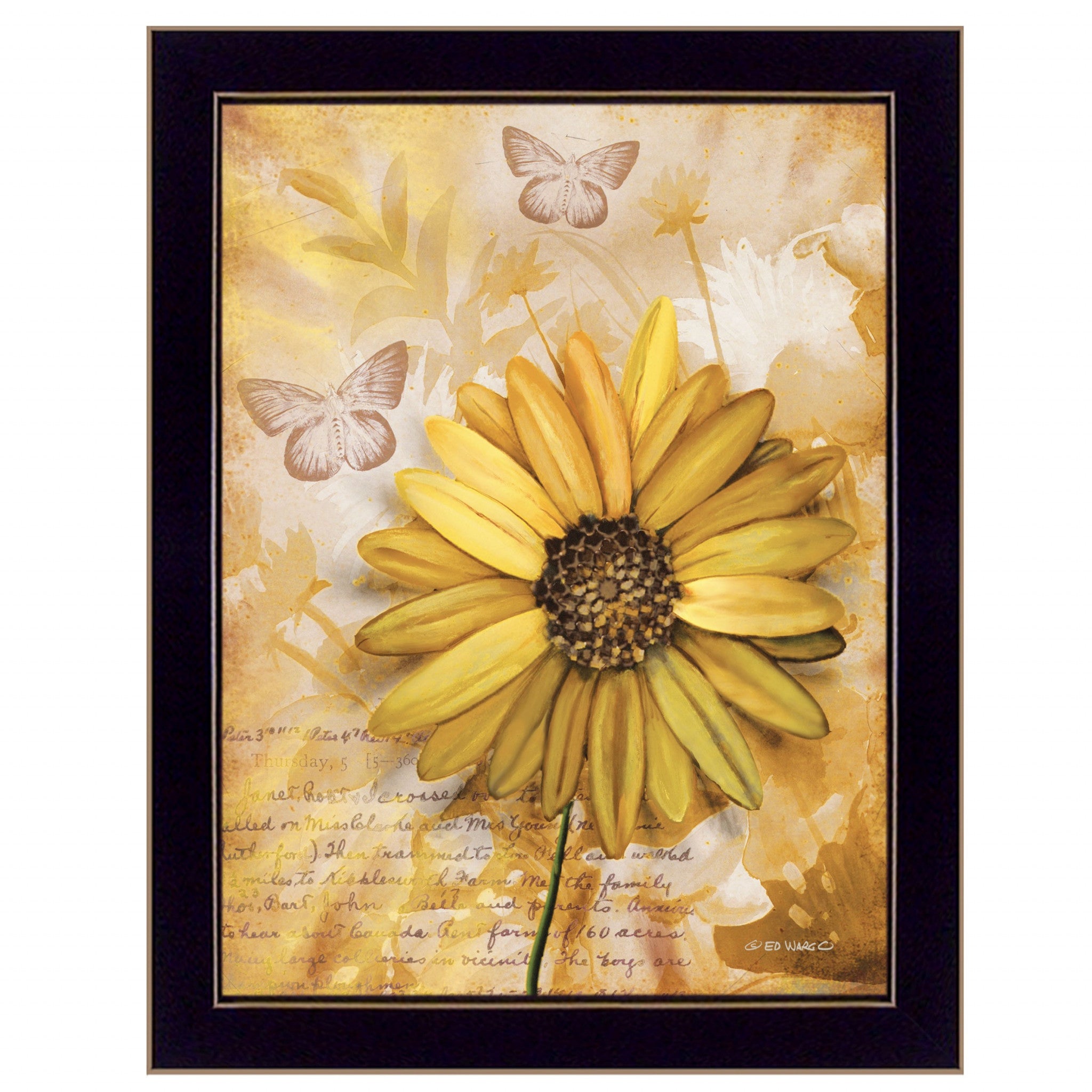 Flowers and Butterflies II 1 Black Framed Print Wall Art - Home Decor