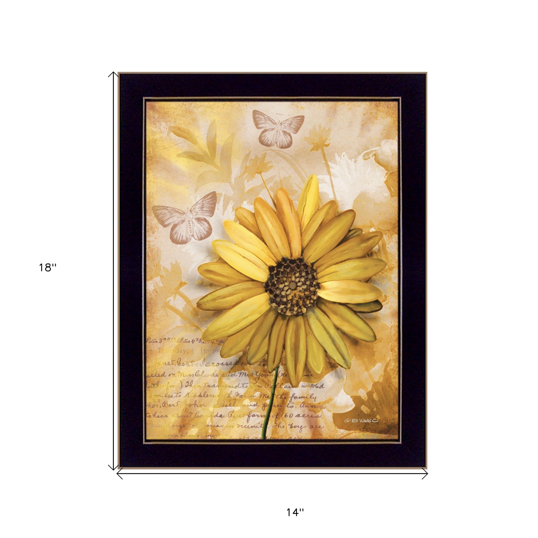 Flowers and Butterflies II 1 Black Framed Print Wall Art - Home Decor