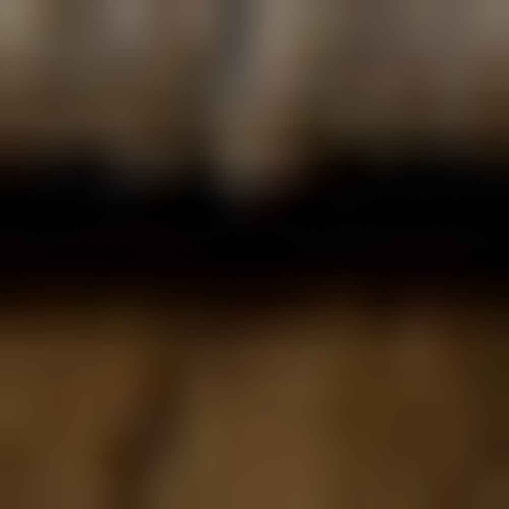 8' Rust Oriental Dhurrie Runner Rug