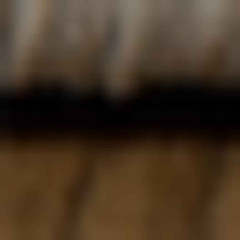 8' Rust Oriental Dhurrie Runner Rug