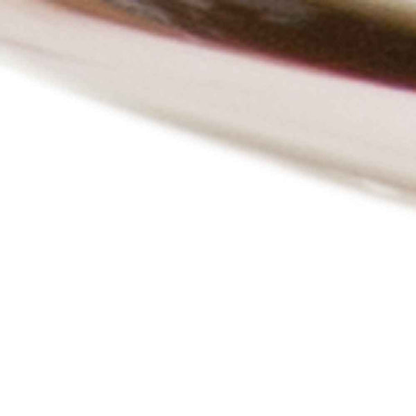 White Four Piece Scallop Stoneware Service For Four Dinner Plate Set Default Title