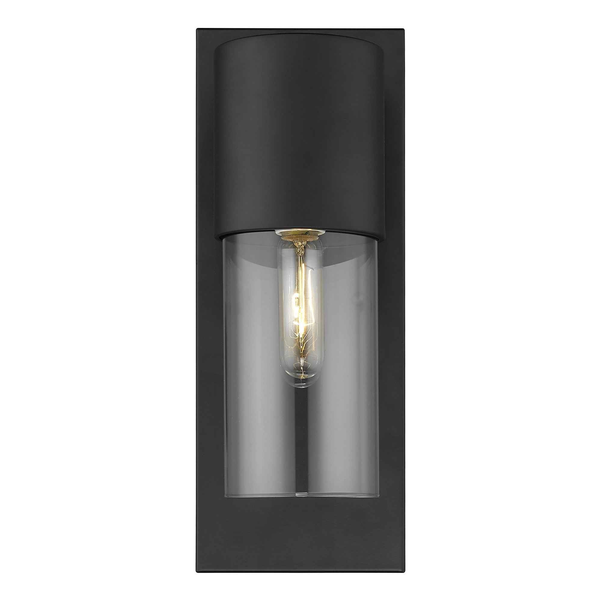 Contemporary Matte Black and Glass Wall Light