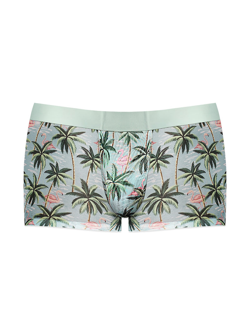 Sheer Prints - Seamless Sheer Short - Large -  Flamingo