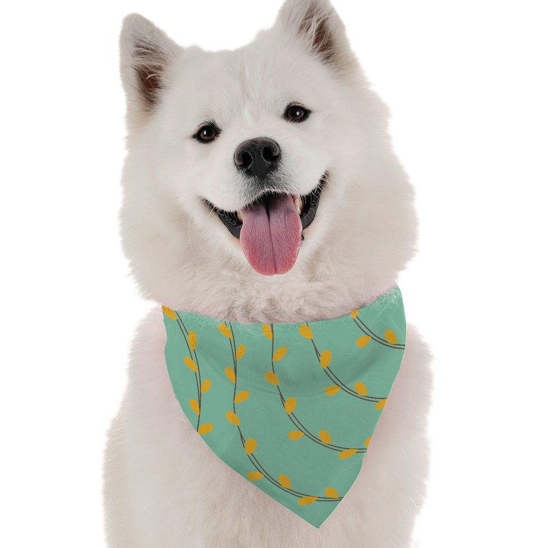 Pet dog wearing teal bandana with orange leaf pattern
