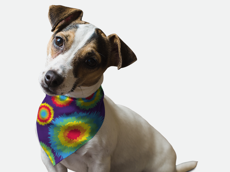 1970's Retro Style - Pet Supplies | Pet Supplies, Pets
