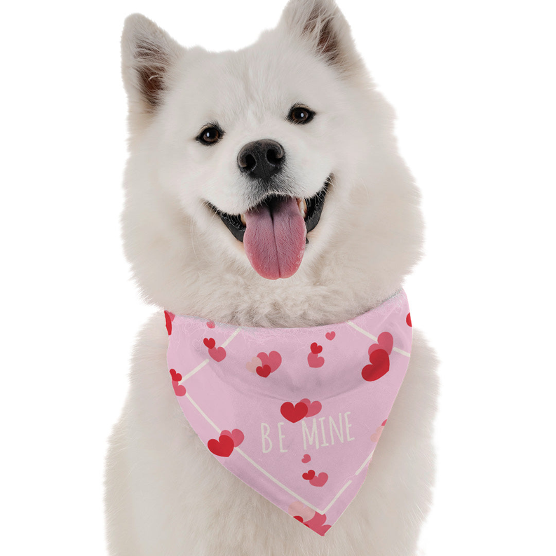 Be Mine - 1 / 22" x 22" - Pet Supplies